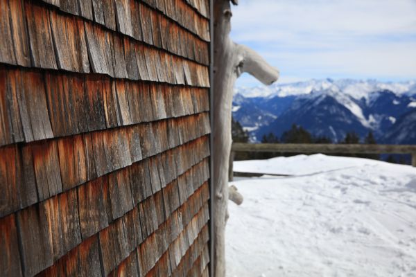 Cost of Cedar Siding Repair in Bellevue