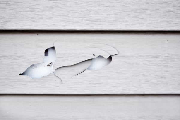 Cost of Siding Leak Repair in Bellevue