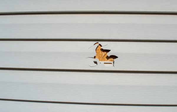 Cost of Siding Hole Patching in Bellevue