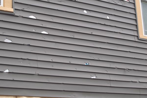 Cost of Damaged Siding Replacement in Bellevue