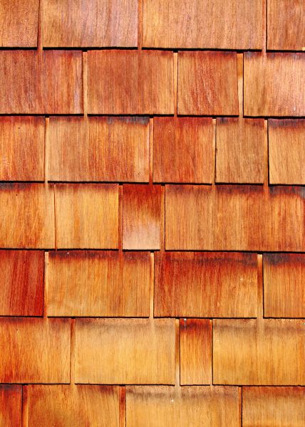 Cost of Wood Siding Replacement in Bellevue